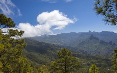 Gran Canaria, Mart