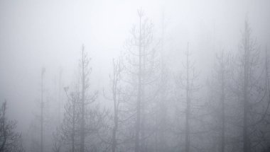 Gran Canaria, Mart 2018