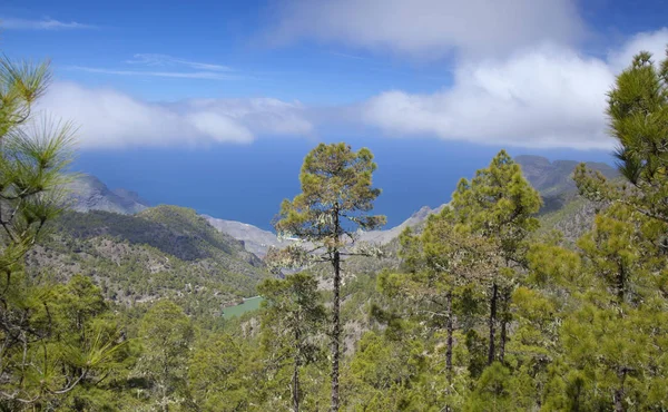 Gran Canaria, Mart — Stok fotoğraf