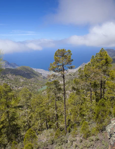 Gran Canaria, March — Stock Photo, Image