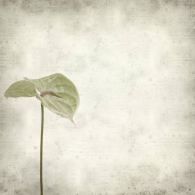 desenli eski kağıt arkaplan  