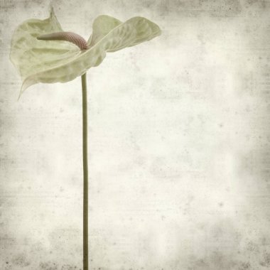 desenli eski kağıt arkaplan  