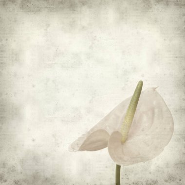 desenli eski kağıt arkaplan  