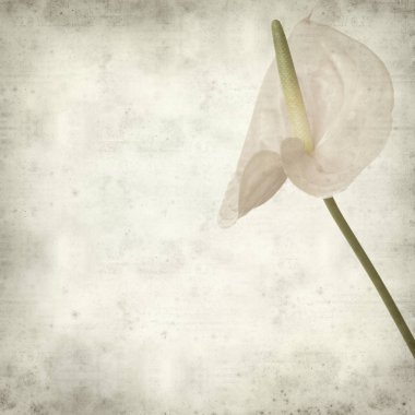 desenli eski kağıt arkaplan  