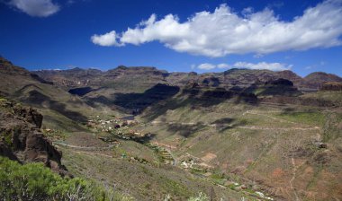 Büyük Kanarya, Nisan