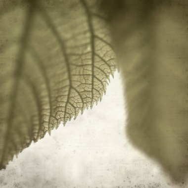 desenli eski kağıt arkaplan  