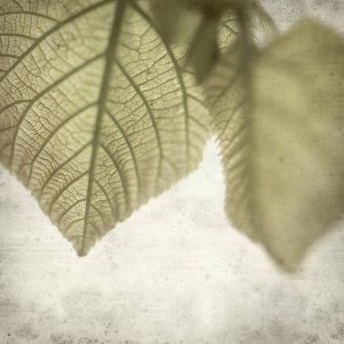 desenli eski kağıt arkaplan  