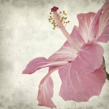 desenli eski kağıt arkaplan  