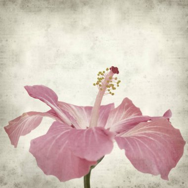 desenli eski kağıt arkaplan  