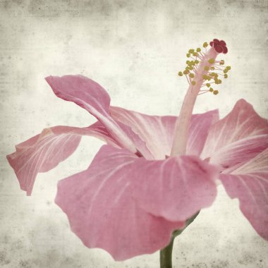 desenli eski kağıt arkaplan  