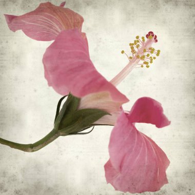 desenli eski kağıt arkaplan  