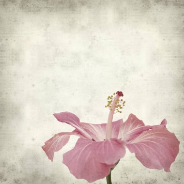 desenli eski kağıt arkaplan  