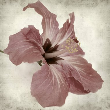 desenli eski kağıt arkaplan  