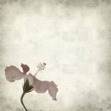 desenli eski kağıt arkaplan  