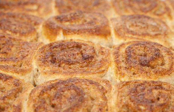 Petits pains à la cannelle fraîchement préparés — Photo