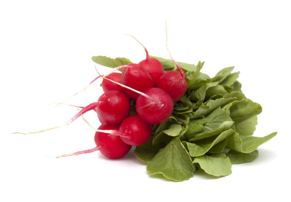 Bunch of red radish — Stock Photo, Image