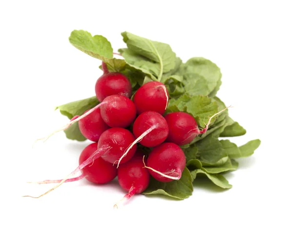 Bunch of red radish — Stock Photo, Image