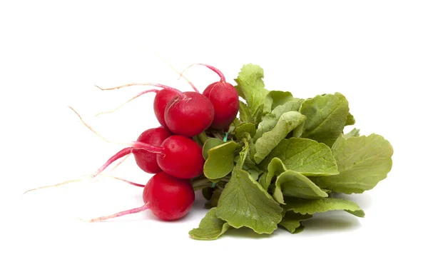 Bunch of red radish — Stock Photo, Image