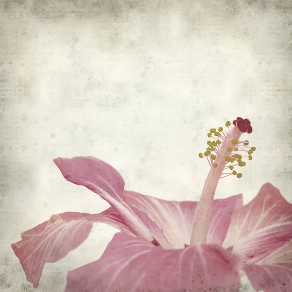 desenli eski kağıt arkaplan  