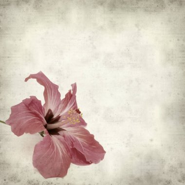 desenli eski kağıt arkaplan  