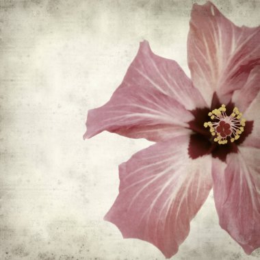 desenli eski kağıt arkaplan  