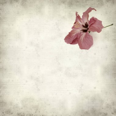 desenli eski kağıt arkaplan  