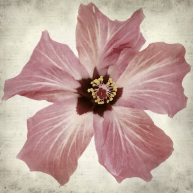 desenli eski kağıt arkaplan  