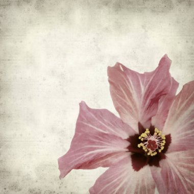 desenli eski kağıt arkaplan  