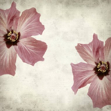 desenli eski kağıt arkaplan  