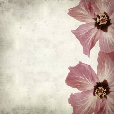 desenli eski kağıt arkaplan  