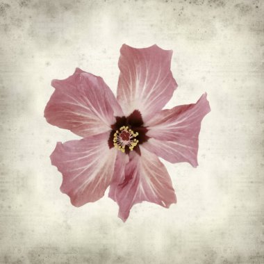 desenli eski kağıt arkaplan  