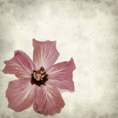 desenli eski kağıt arkaplan  