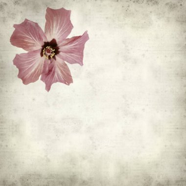 desenli eski kağıt arkaplan  