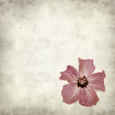 desenli eski kağıt arkaplan  