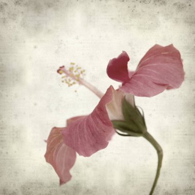 desenli eski kağıt arkaplan  