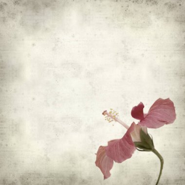 desenli eski kağıt arkaplan  