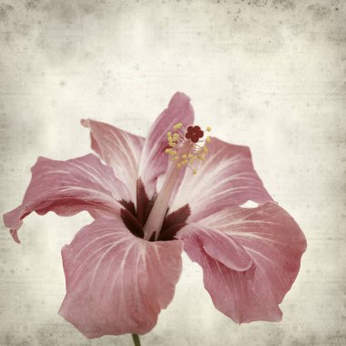 desenli eski kağıt arkaplan  