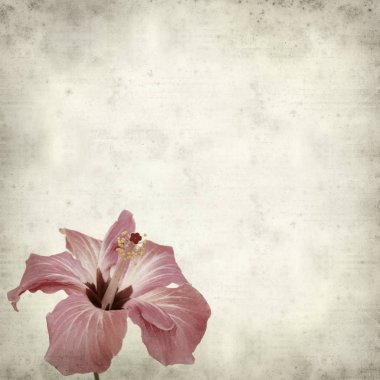 desenli eski kağıt arkaplan  