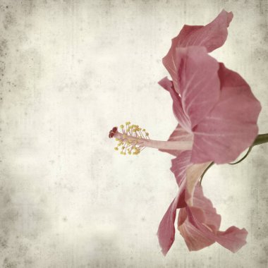 desenli eski kağıt arkaplan  