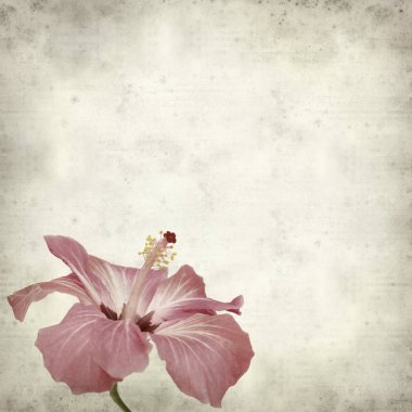 desenli eski kağıt arkaplan  