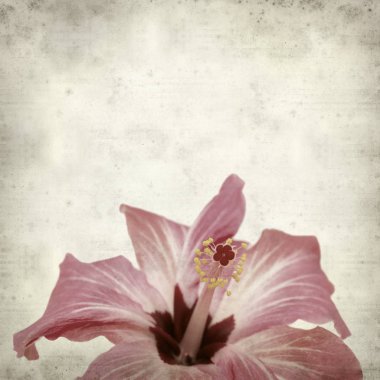 desenli eski kağıt arkaplan  