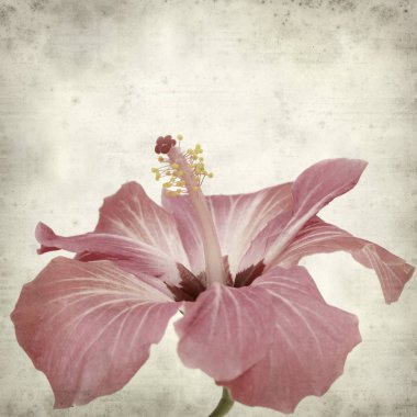 desenli eski kağıt arkaplan  