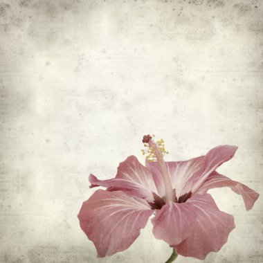 desenli eski kağıt arkaplan  