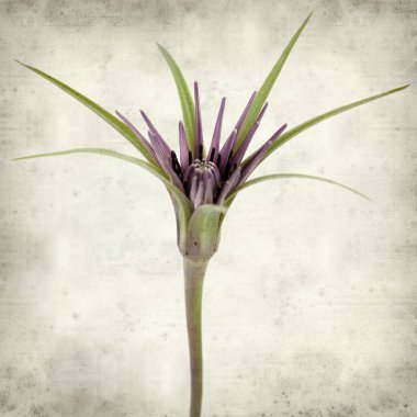 desenli eski kağıt arkaplan  