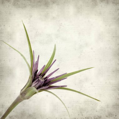 desenli eski kağıt arkaplan  