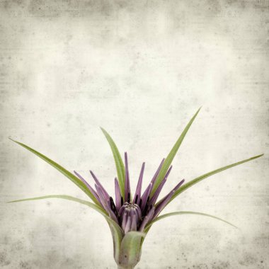 desenli eski kağıt arkaplan  