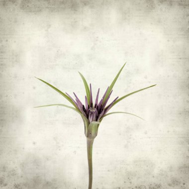 desenli eski kağıt arkaplan  