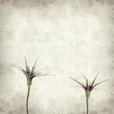 desenli eski kağıt arkaplan  