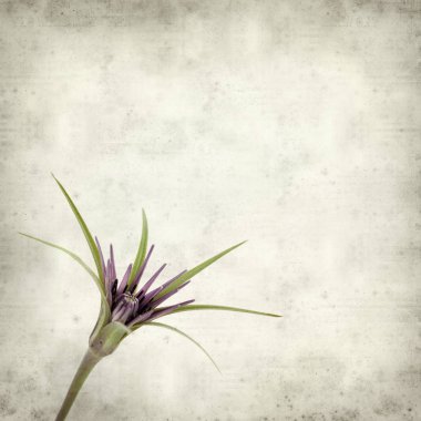 desenli eski kağıt arkaplan  