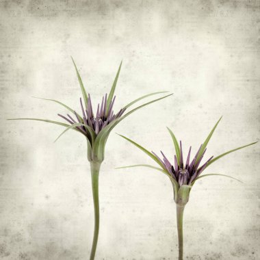 desenli eski kağıt arkaplan  